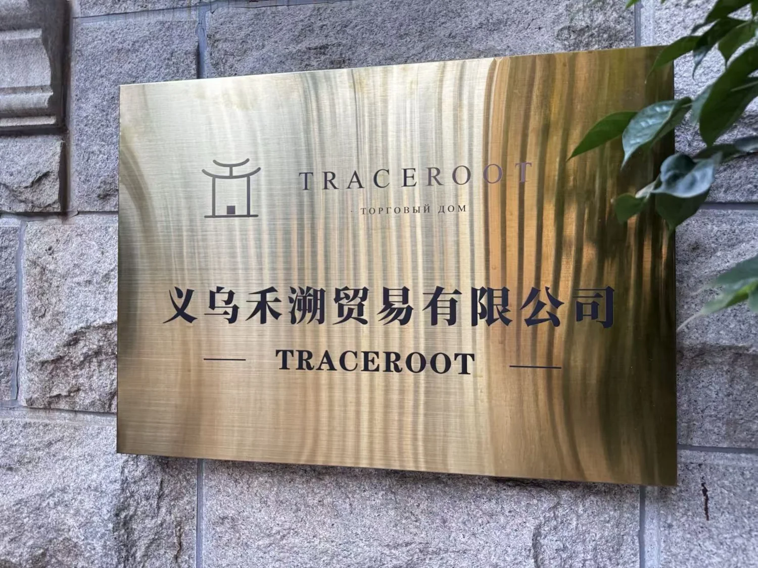 Вывеска компании TRACEROOT